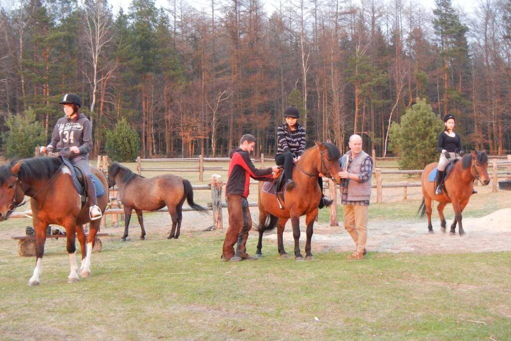 Na Wysokiej Gorce- Agroturystyka Grabowiec  Esterno foto