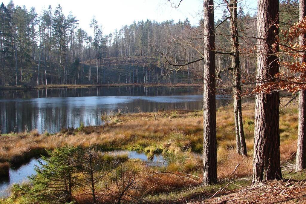 Na Wysokiej Gorce- Agroturystyka Grabowiec  Esterno foto
